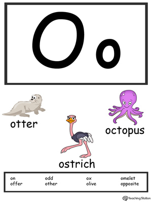 Recognize the letters and sounds at the beginning of words with Letter O Printable Alphabet Flash Cards.