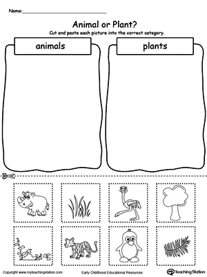Early Childhood Plants and Animals Worksheets | MyTeachingStation.com