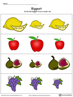 Early Childhood Sorting and Categorizing Worksheets | MyTeachingStation.com
