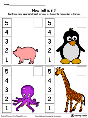 Learn tall and short concepts of measurement in this math printable worksheet for preschool. Browse our free measurement worksheets.