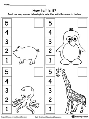 Learn length by measuring how tall the animals are in this math printable worksheet for preschool. Browse our free measurement worksheets.