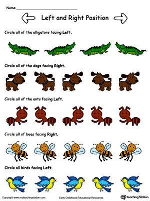 Learn Left and Right directional positions with this animals facing Left and Right printable worksheet in color.