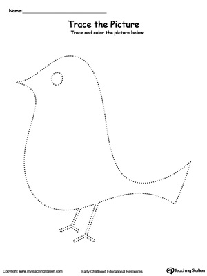 Practice fine motor skills with this bird picture tracing printable worksheet.