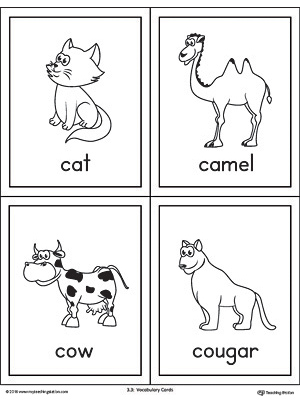 Beginning sound vocabulary cards for letter C, includes the words cat, camel, cow, and cougar.