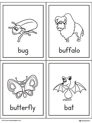 Beginning sound vocabulary cards for letter B, includes the words bug, buffalo, butterfly, and bat.