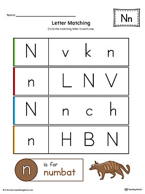 Letter N Uppercase and Lowercase Matching Worksheet (Color)