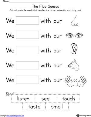 Five Senses Body Parts