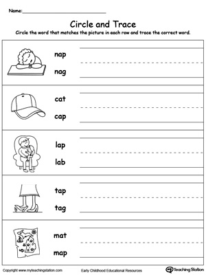 Identify Word and Write: AP Words