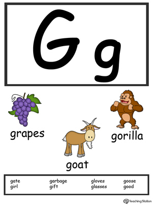 Recognize the letters and sounds at the beginning of words with Letter G Printable Alphabet Flash Cards.