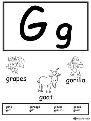 Recognize the sounds and letters at the beginning of words with this Letter G Printable Alphabet Flash Cards.