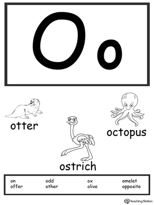 Letter O Printable Alphabet Flash Cards for Preschoolers