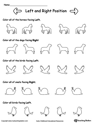 Color and Determine Left Right Direction