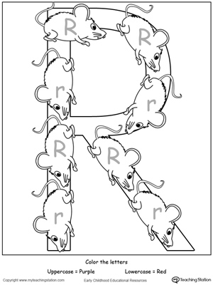 Practice identifying the uppercase and lowercase letter R in this preschool reading printable worksheet.