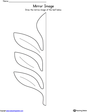 Leaf Mirror Image Worksheet