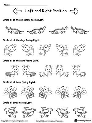 Animals Facing Left Right Direction