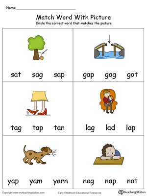 Match Word with Picture: AP Words in Color