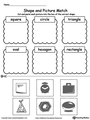 Shape Sorting: Place the Circles and Squares into the Correct Category