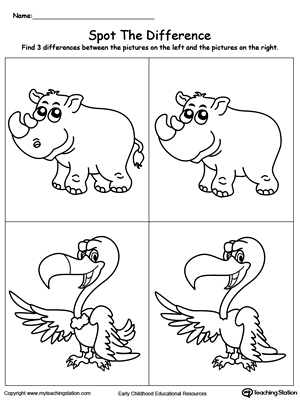Spot the Difference on the Animals: Rhino and Vulture