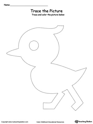 Practice fine motor skills with this duck picture tracing printable worksheet.