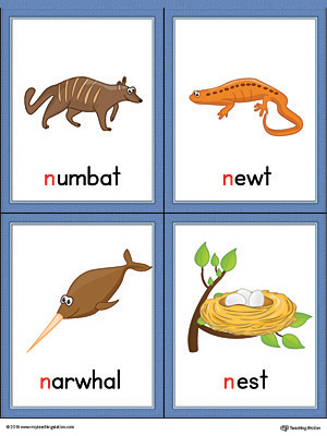 Letter N Words and Pictures Printable Cards: Numbat, Newt, Narwhal, Nest  (Color) 