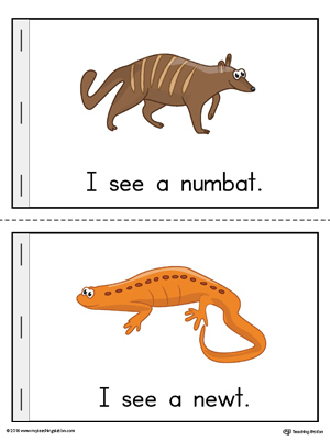 Letter-N-Mini-Book-Numbat-Newt-Color.jpg