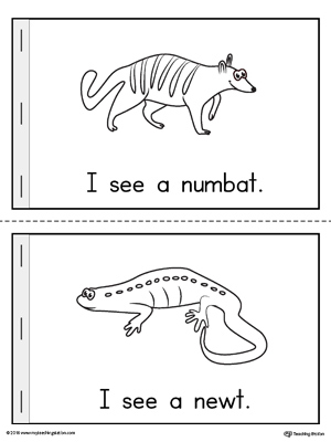 Letter-N-Mini-Book-Numbat-Newt.jpg