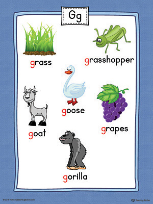 Letter G Word List with Illustrations Printable Poster (Color ...