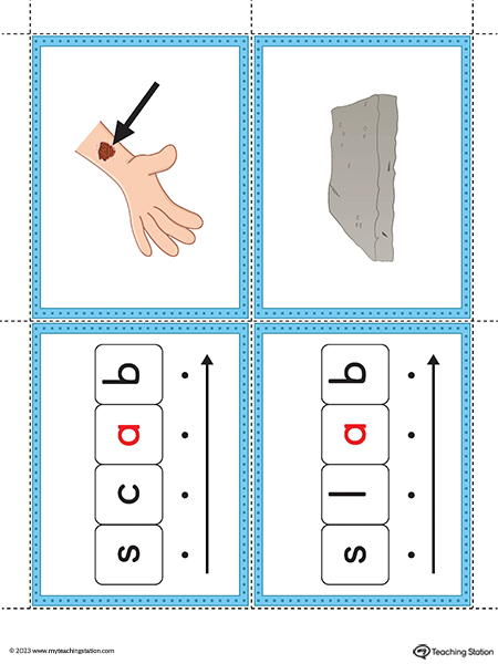 AB-Word-Family-Image-Flashcards-Printable-PDF-5.jpg