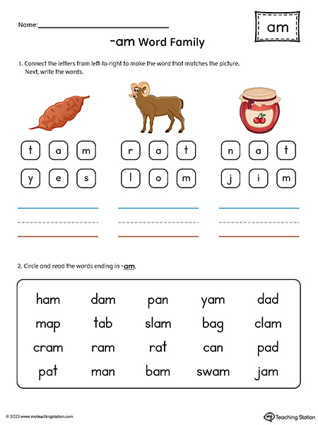 AM Word Family Read and Spell Simple Words Printable PDF
