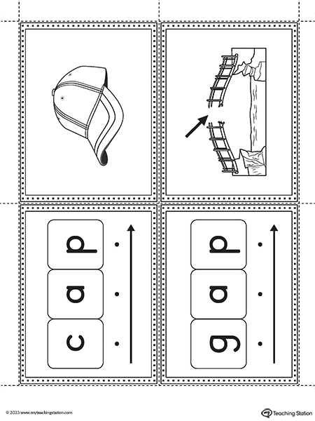 AP Word Family CVC Picture Cards Printable PDF