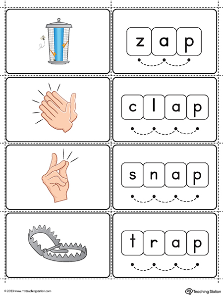 AP-Word-Family-Small-Picture-Cards-Printable-PDF-3.jpg