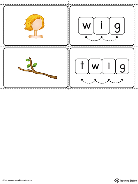 IG-Word-Family-Small-Picture-Cards-Printable-PDF-3.jpg