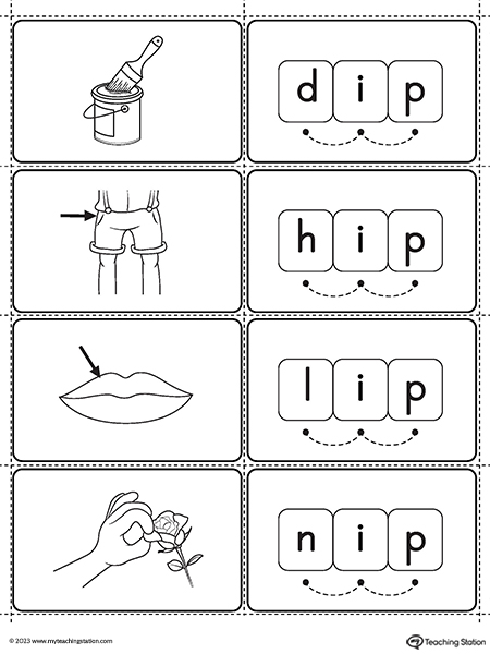 IP Word Family Small Picture Cards Printable PDF