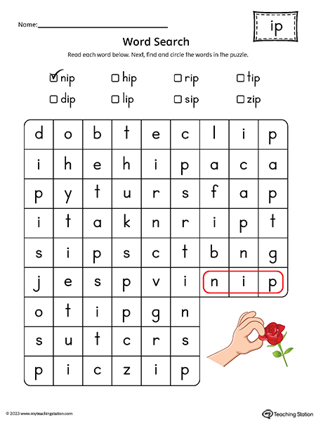 IP Word Family Word Search Printable PDF