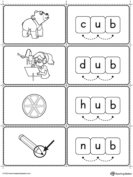 UB Word Family Small Picture Cards Printable PDF