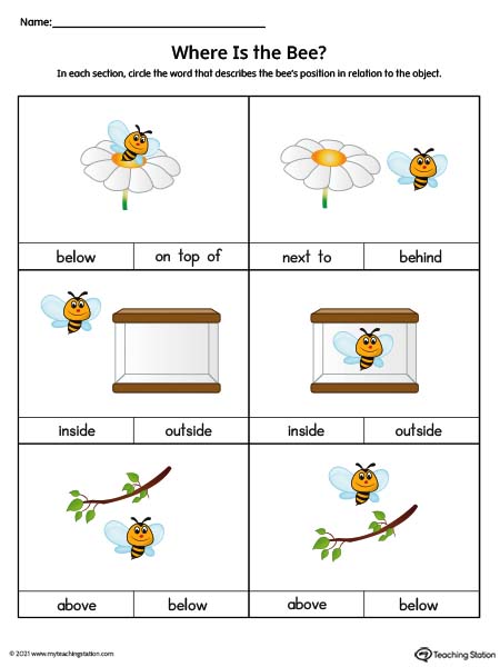 Use the correct positional word to describe the position of the bee in this preschool positional word worksheet.