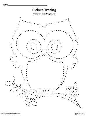Owl Prewriting Line Tracing Worksheet