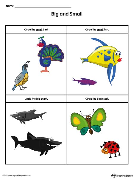 Big and small preschool worksheets. Comparing animals sizes in this pre-k math printable.